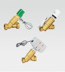 EDRV 動態(tài)電動平衡閥